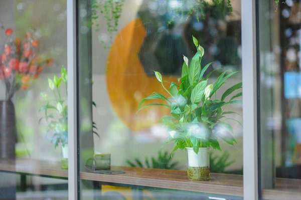 Boostez votre présence en ligne avec amplimarque.com