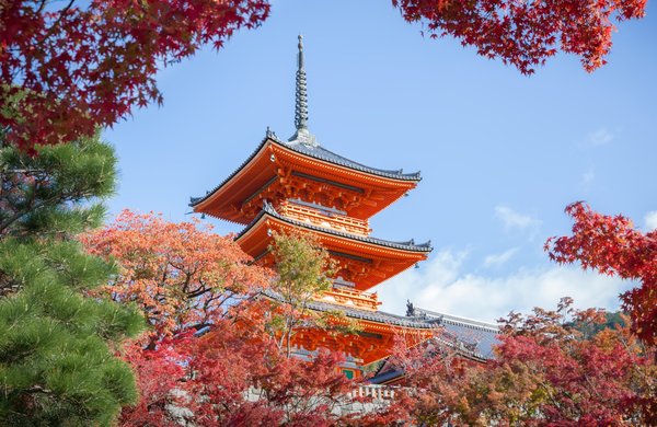 Voyance : explorez votre potentiel caché aujourd'hui !